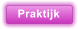 Praktijk